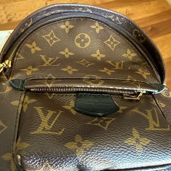 LOUIS VUITTON: PALM SPRINGS MINI (AUTHENTIC) - Picture 13 of 14